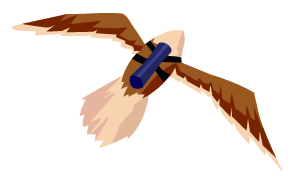 cta-burung Image burung untuk cta