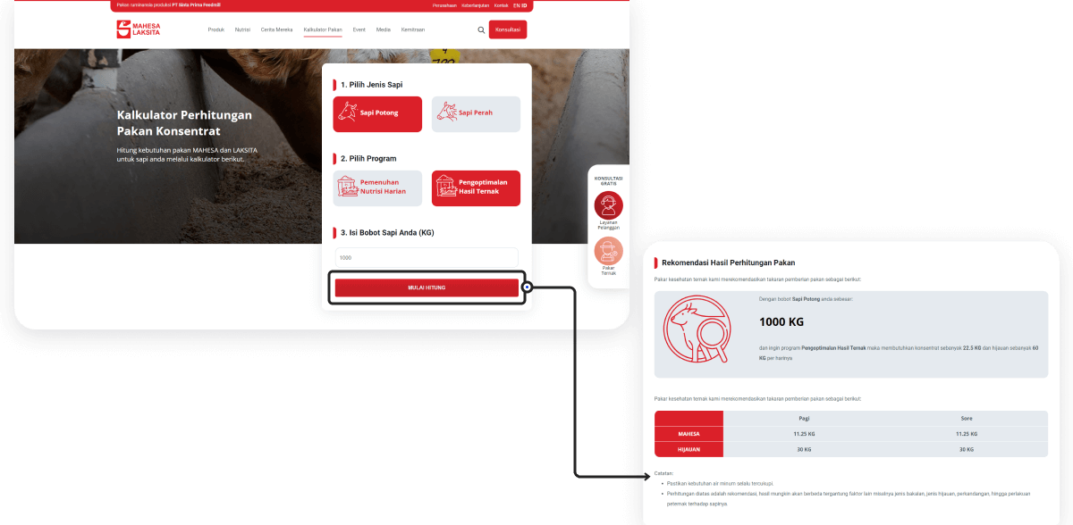 takaran-pas-sapi-tumbuh-optimal(1) Fitur kalkulator pakan ternak di website mahesalaksita com untuk memudahkan peternak