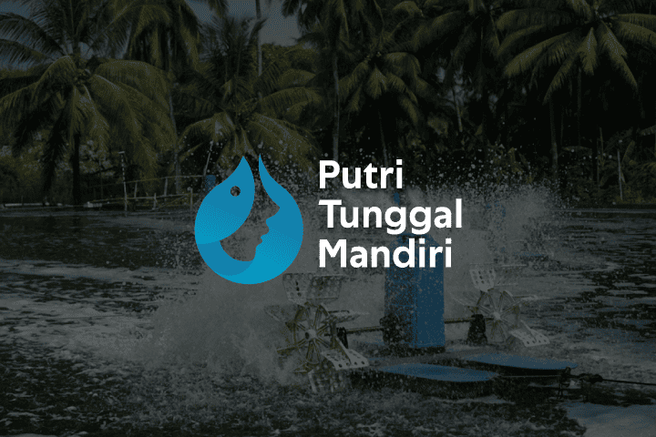 cover Cover Putri Tunggal Mandiri