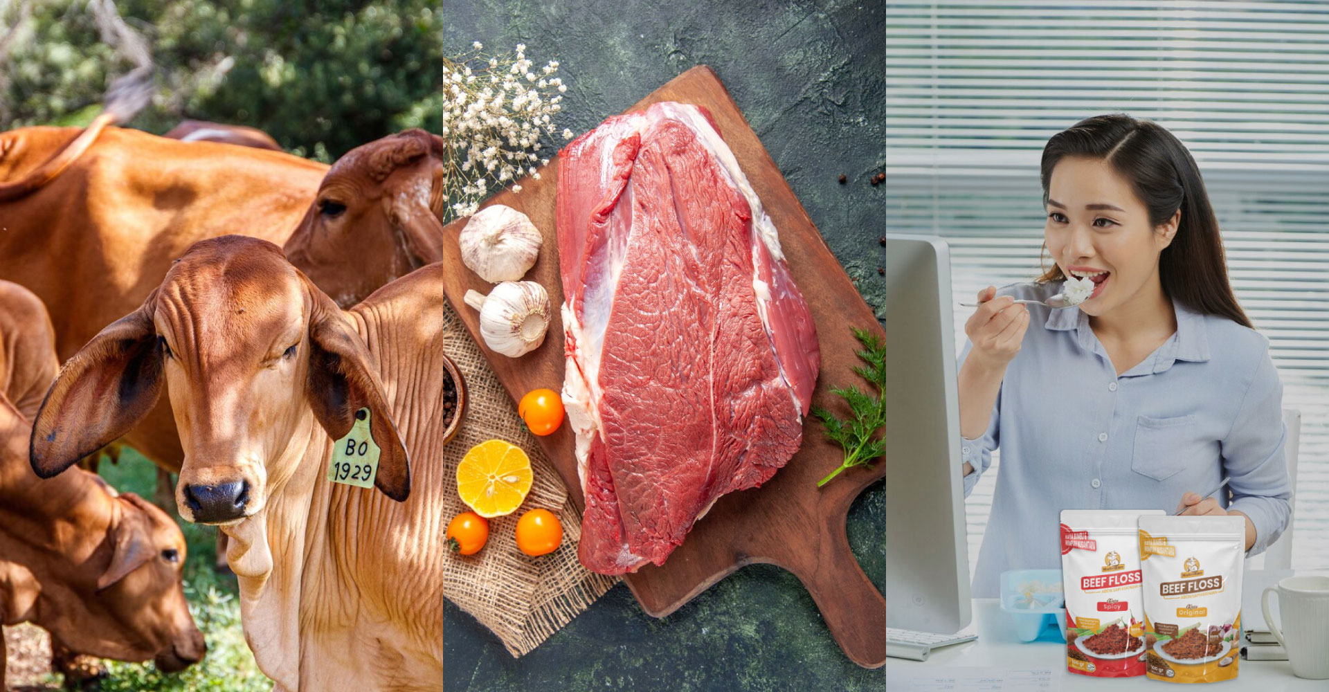 konsep Nutribon, Abon sapi kekinian yang diolah dari 100% daging sapi pilihan