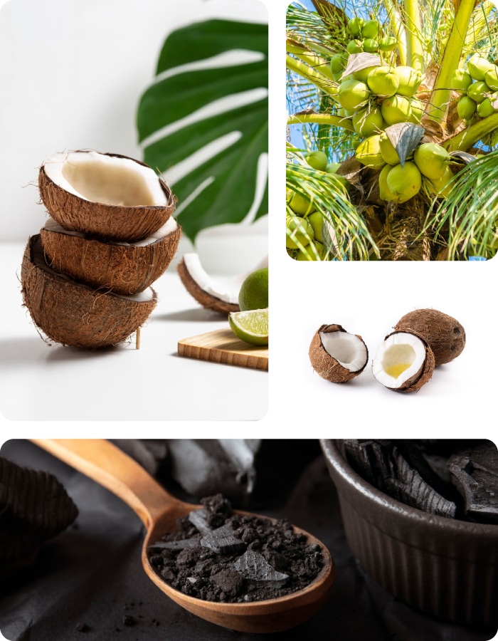 cerita-kami Pemasok Kelapa Terkemuka dari Indonesia
