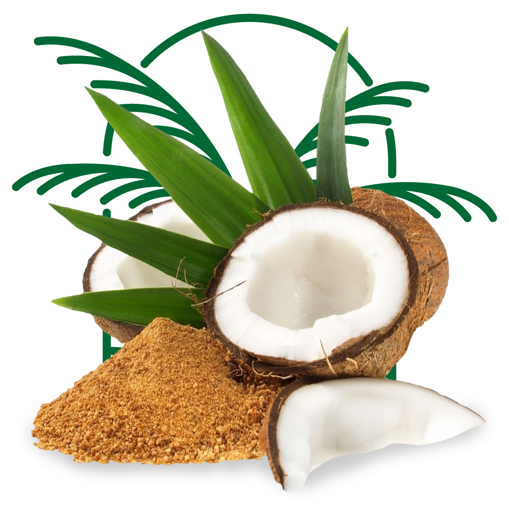 hero Logo Sari Coconut