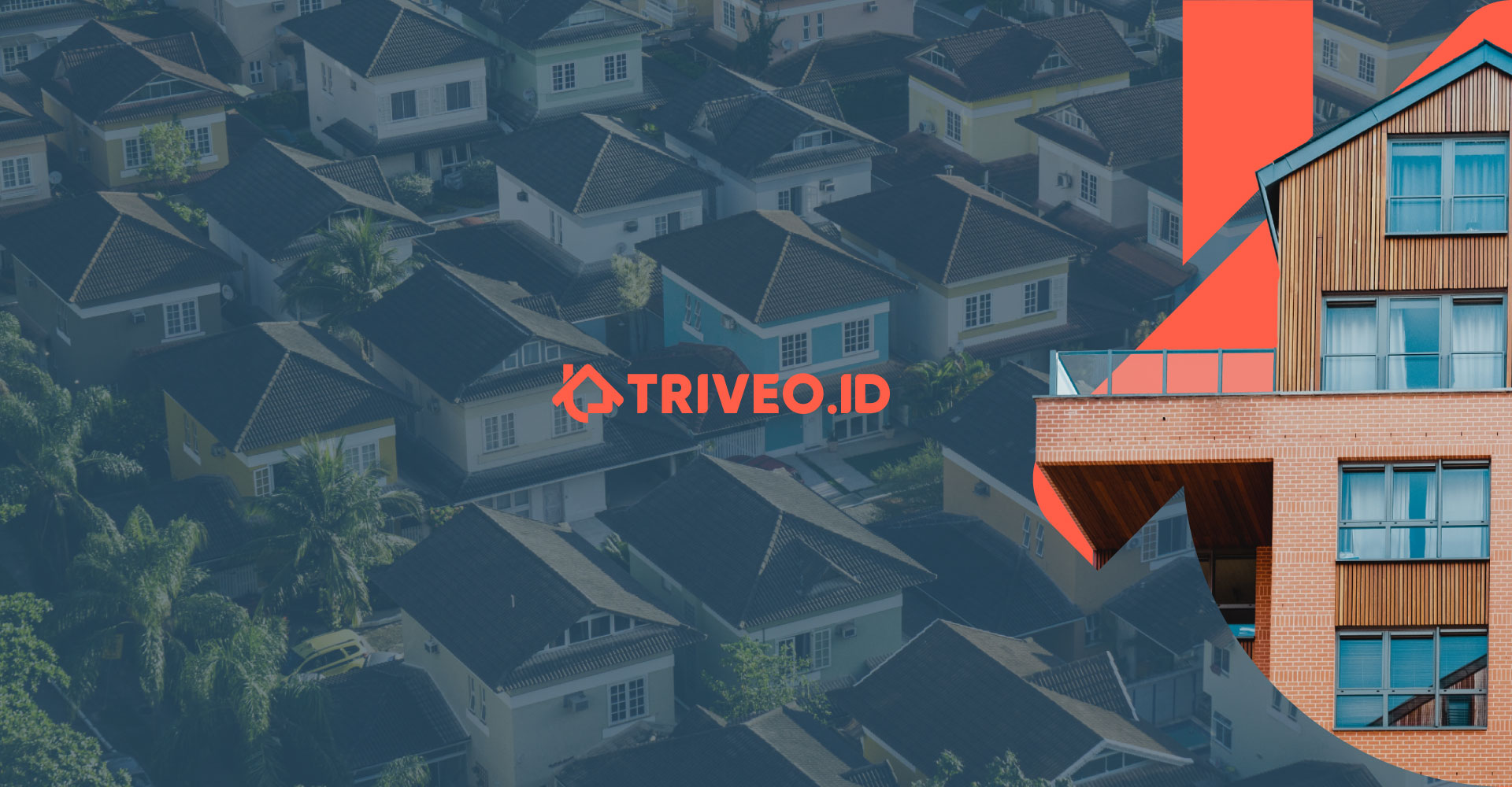 supergraphic Company Profile Triveo ID
